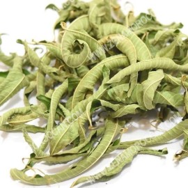 Verbena Herb