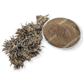Hedgehog for hair