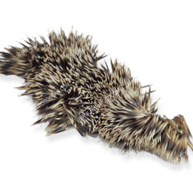 Hedgehog for hair 