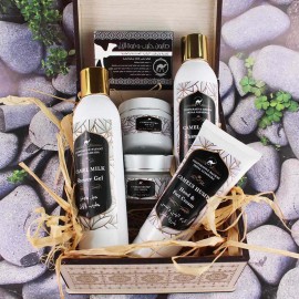 Moroccan beauty Desert Group with Camel's hump and milk 