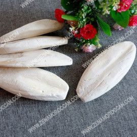 Cuttlebone for skin whitening and body slimming