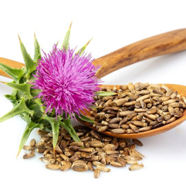 Milk Thistle Seeds 